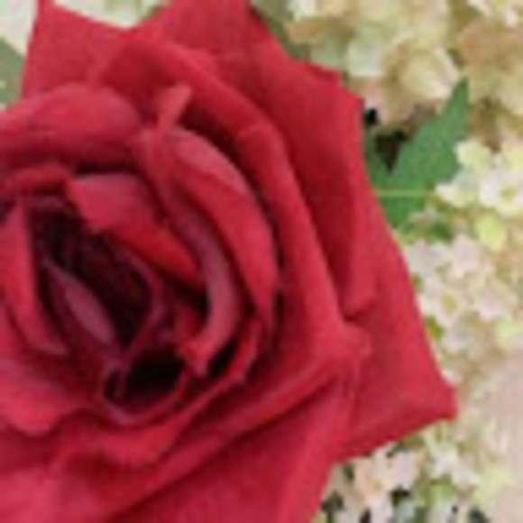 Profile Picture of Fatema Alhammadi (@fatemaalhammadi) on Poshmark