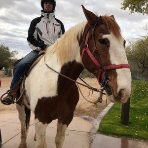 Profile Picture of Daniel Abegg (@daniel_abegg) on Twitter