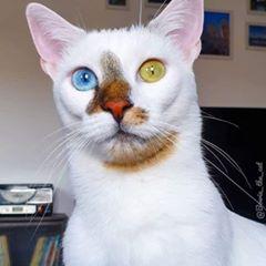 Profile Picture of Andrew Plaza (@andrewplaza0) on Tiktok