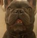 Profile Picture of Matt Mee (@nigel.evans.7311) on Facebook