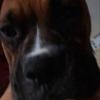 Profile Picture of George Tomko (@@georgetomko) on Tiktok