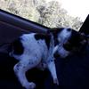 Profile Picture of Isaac Steele (@@isaacsteele69) on Tiktok
