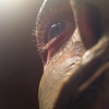 Profile Picture of Robin Snead (@lilg) on Flickr