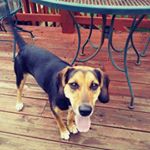 Profile Picture of Jo Pemberton (@jo.pemberton.39) on Instagram