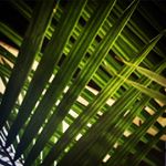 Profile Picture of Wilkey B. Godwin (@blyssmark) on Instagram