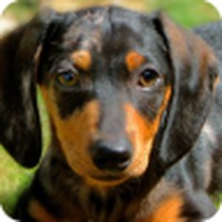 Profile Picture of James Vertrees (@james-vertrees-1) on Quora