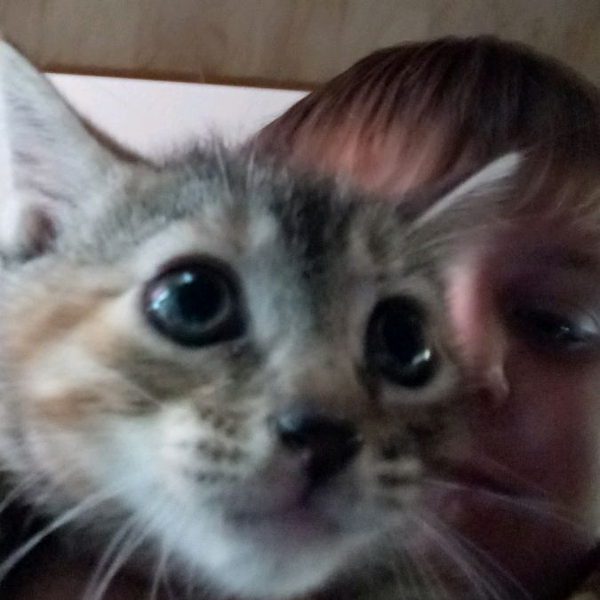 Profile Picture of Matthew Rookstool (@matthewrookstool) on Tiktok