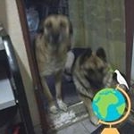 Profile Picture of Hugo Nestor Ibaňez (@hugonestoribanez) on Instagram