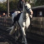 Profile Picture of Amelia (@amelia__spencer_) on Instagram