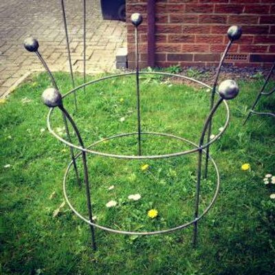 Profile Picture of Dave Shutt (@Potty_Planters) on Twitter