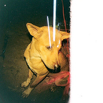 Profile Picture of Daniel  Hesketh (@==Daniel M Hesketh==%u2708) on Flickr