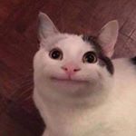 Profile Picture of Mike Baer (@lil.ritz) on Instagram