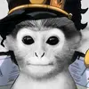 Profile Picture of Jonah. goodman (@jonah..goodman) on Tiktok