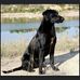 Profile Picture of Louise Carson (@louise.carson.7946) on Facebook