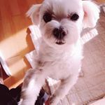 Profile Picture of 롯데백화점 창원점 영플 미샤 (@eunhee_eun) on Instagram