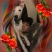 Profile Picture of Barry Trask (@barry.trask.79) on Facebook