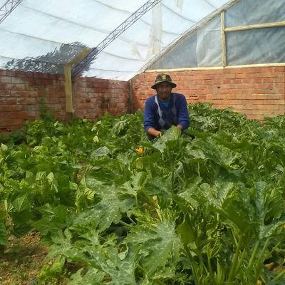 Profile Picture of Victor H. Albarracin J. (@albarracinVico) on Twitter