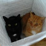 Profile Picture of Buddy and Floyd (@buddy_and_floyd_) on Instagram