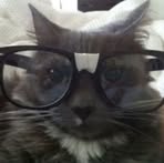 Profile Picture of Matthew Lub (@Matthew-Lub) on Facebook
