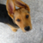 Profile Picture of Liesl Scott (@so jane) on Flickr