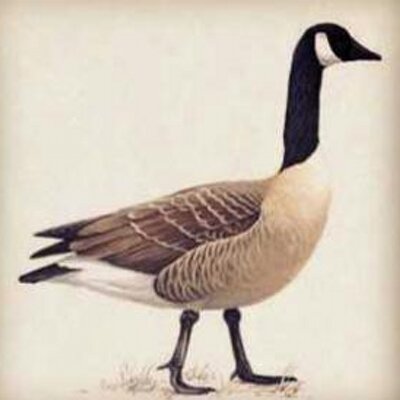 Profile Picture of Ryan Gwin (@Ryweeezy) on Twitter