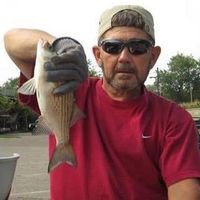 Profile Picture of Ron Galloway (@ron-galloway-10) on Quora