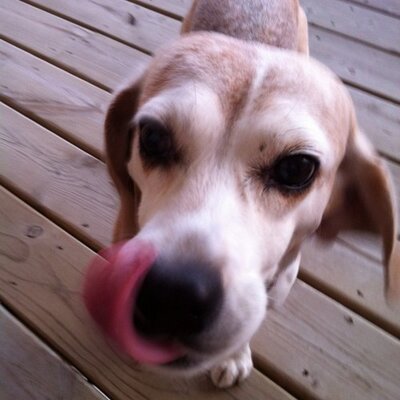 Profile Picture of John Malanowski (@johnmski) on Twitter