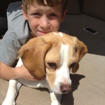 Profile Picture of Alex  Wilkins (@alexkenneth) on Tiktok