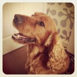 Profile Picture of Alice Booker (@sowengala) on Instagram