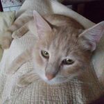 Profile Picture of Nancy Christiansen (@nancy0923) on Instagram