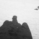 Profile Picture of Nicolás  Andrizzi (@nicolasandrizzi) on Instagram