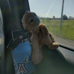 Profile Picture of Bree Erickson (@bree2monkey) on Instagram