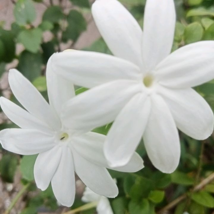 Profile Picture of Adam Zhen Ani N (@adam.zhen.ani.n) on Tiktok