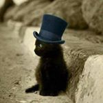 Profile Picture of Sylvia Löwe (@sylvialoewe) on Instagram