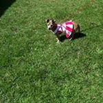Profile Picture of Nancy Luciano (@nancy.luciano.146) on Instagram