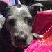 Profile Picture of Lillian McCORMACK (@lillian9695) on Pinterest