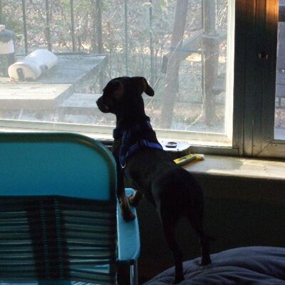 James Whitmarsh Sr. - Twitter Profile Picture of James Whitmarsh Sr. (@jwhitm) on Twitter