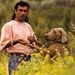 Profile Picture of De Loubine Jean Norbert (@deloubine) on Pinterest