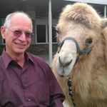 Profile Picture of Mike Otten (@mikeotten) on Instagram