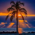 Profile Picture of Dave Debbie Achziger (@davedebbie.achziger) on Facebook