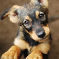 Profile Picture of Paige Keats (@paige-keats) on Quora