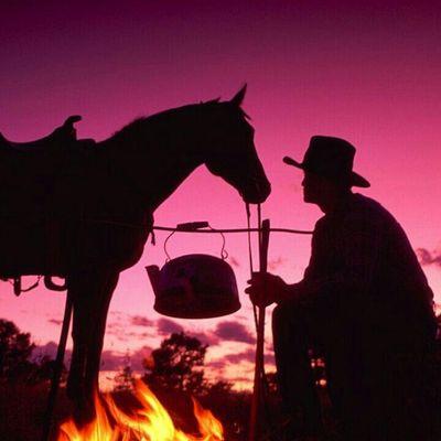 Profile Picture of Michael GOULART (@cowboy7169) on Twitter