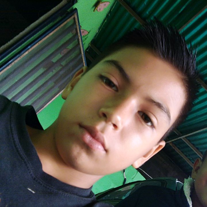 Profile Picture of Davidmoros (@davidmoros2008) on Tiktok