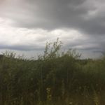 Profile Picture of Lisa van Staveren (@lisavstaveren) on Instagram