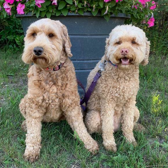 Profile Picture of Adeline Michayluk (@sprint1114) on Poshmark