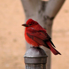 Profile Picture of Darren Bob (@DarrenBob1) on Twitter