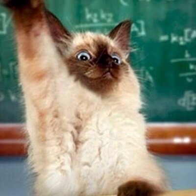 Profile Picture of Jeffrey Sardella (@@JeffreySardella) on Twitter