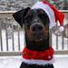 Profile Picture of brandon monroy (@monroybrandon16) on Pinterest