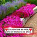 Profile Picture of Angelica Liliana Lopez (@angelicaliliana.lopez.1) on Facebook