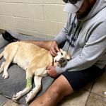 Profile Picture of Joe Whitney (@thefakejoewhitney) on Instagram